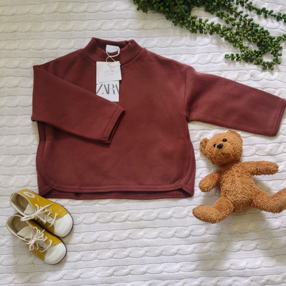 Zara brown sweater nwt